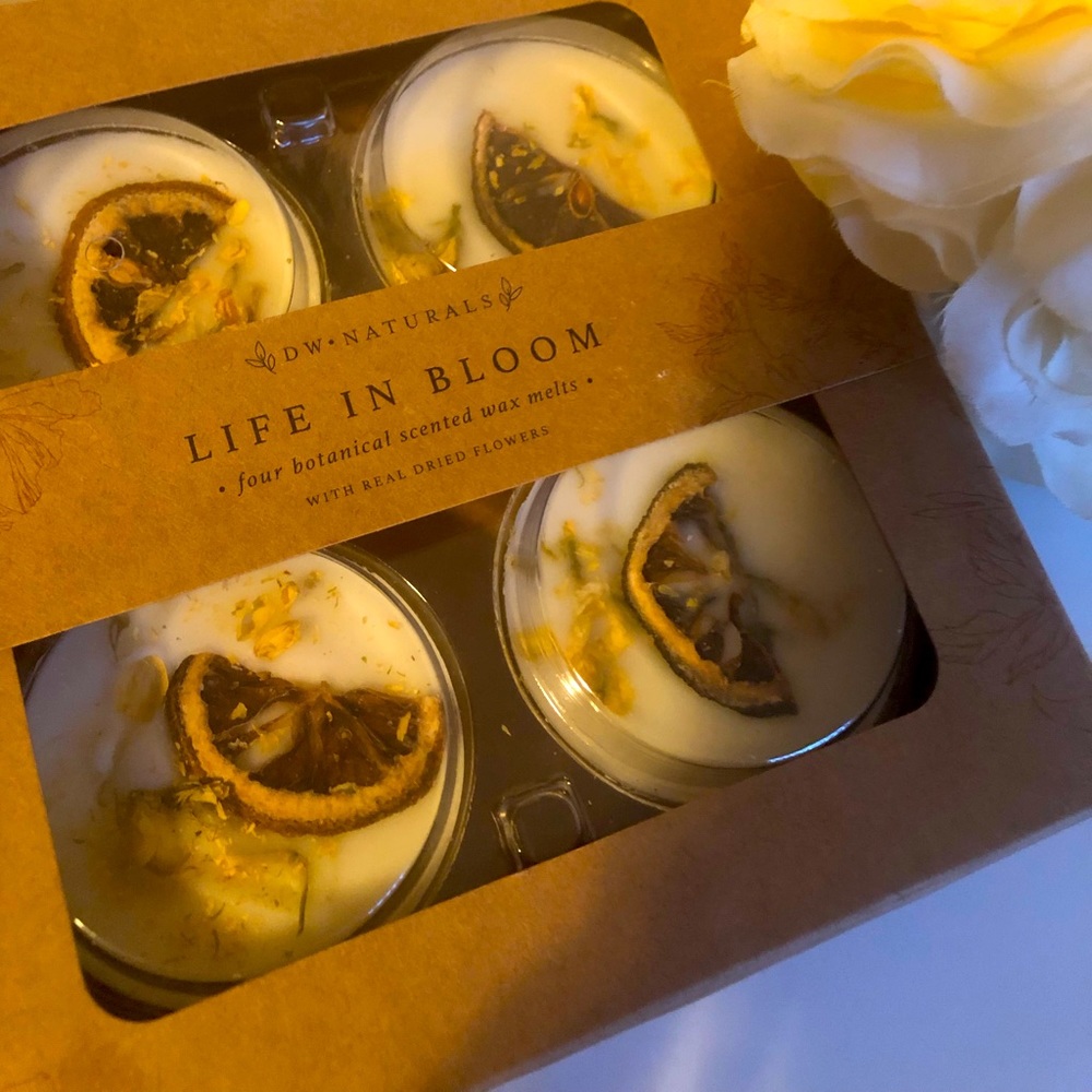 Jasmine Zest Wax Melts🍋